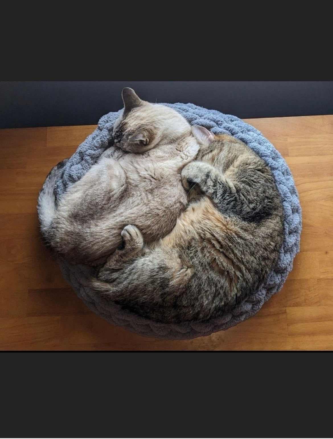 Custom Cozy Pet Bed