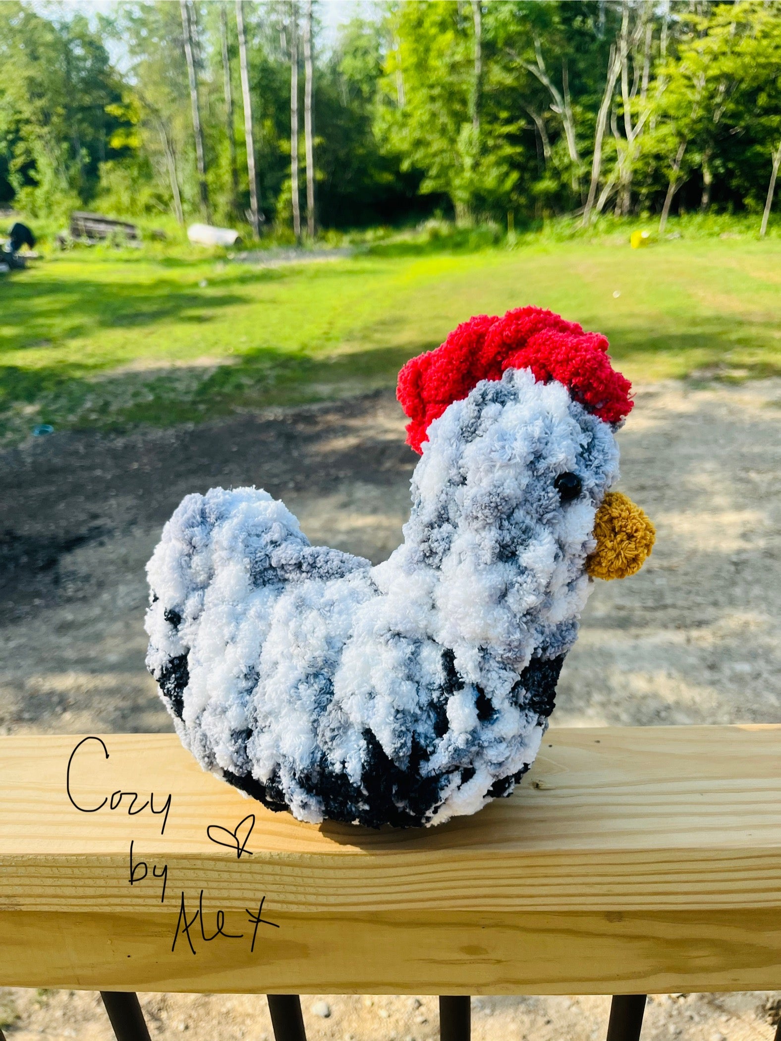 Cozy Chicken