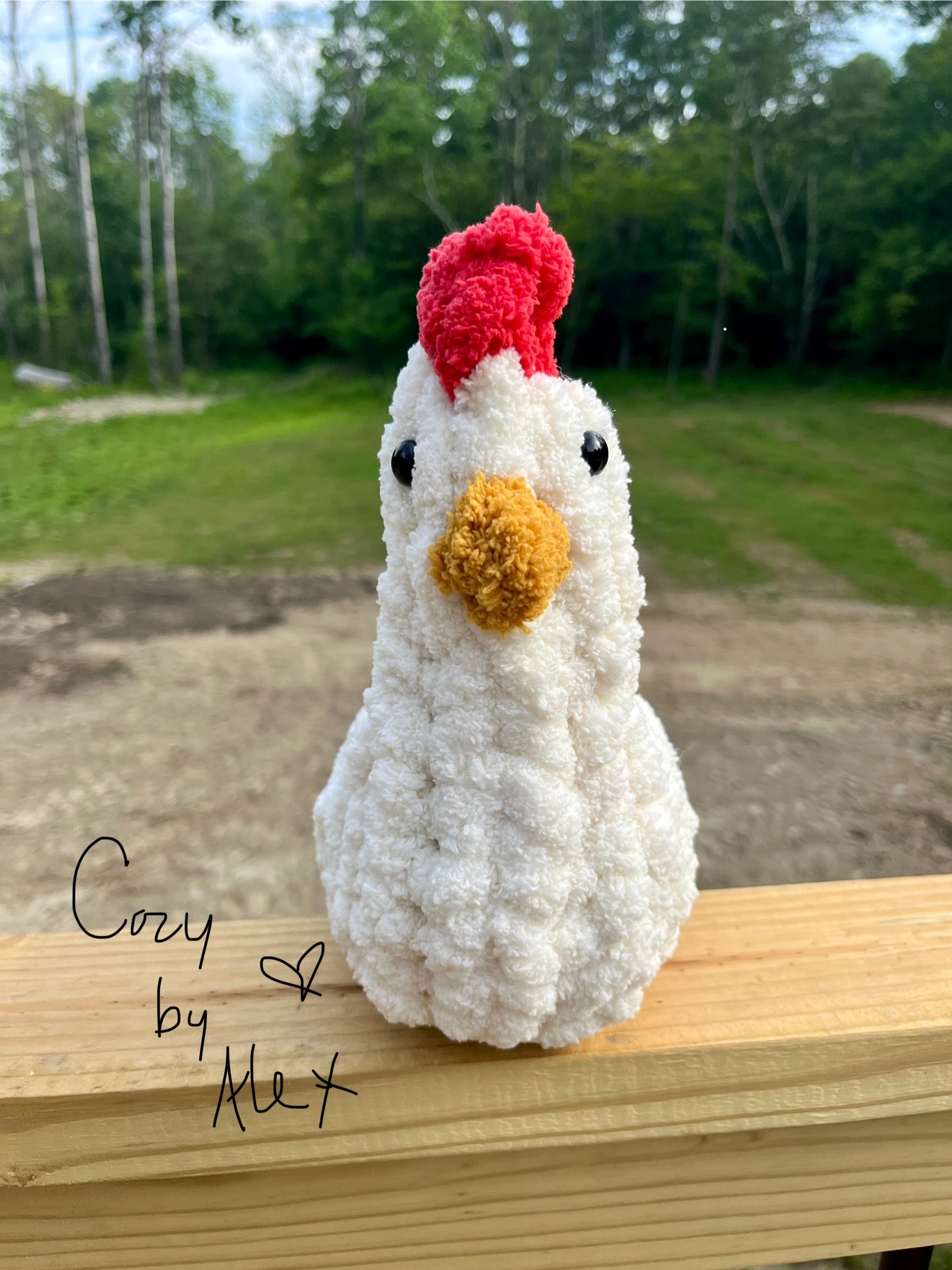 Cozy Chicken