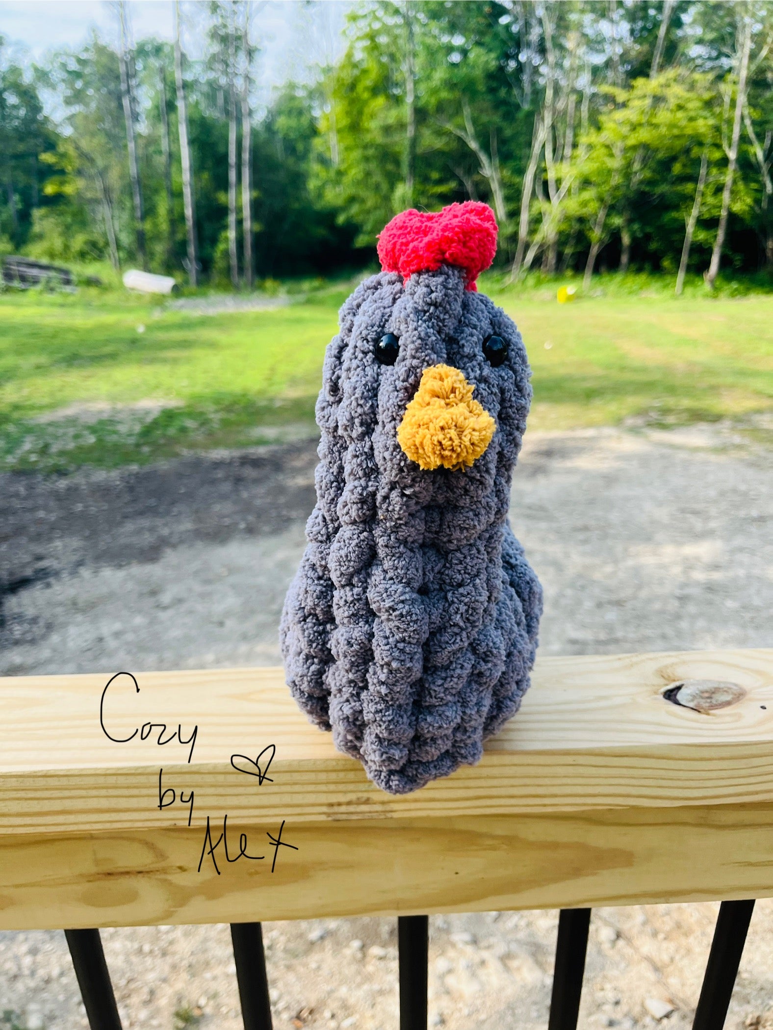 Cozy Chicken