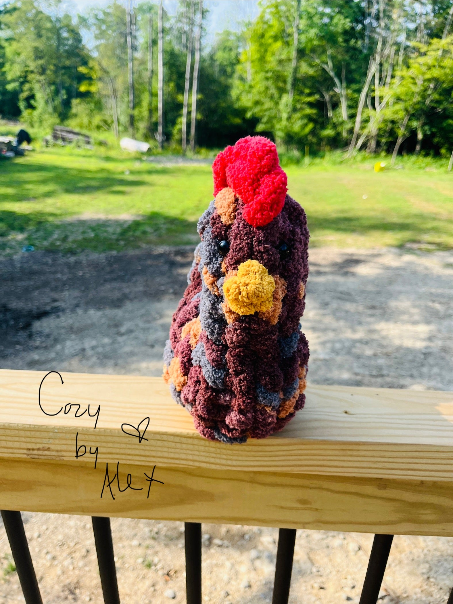 Cozy Chicken