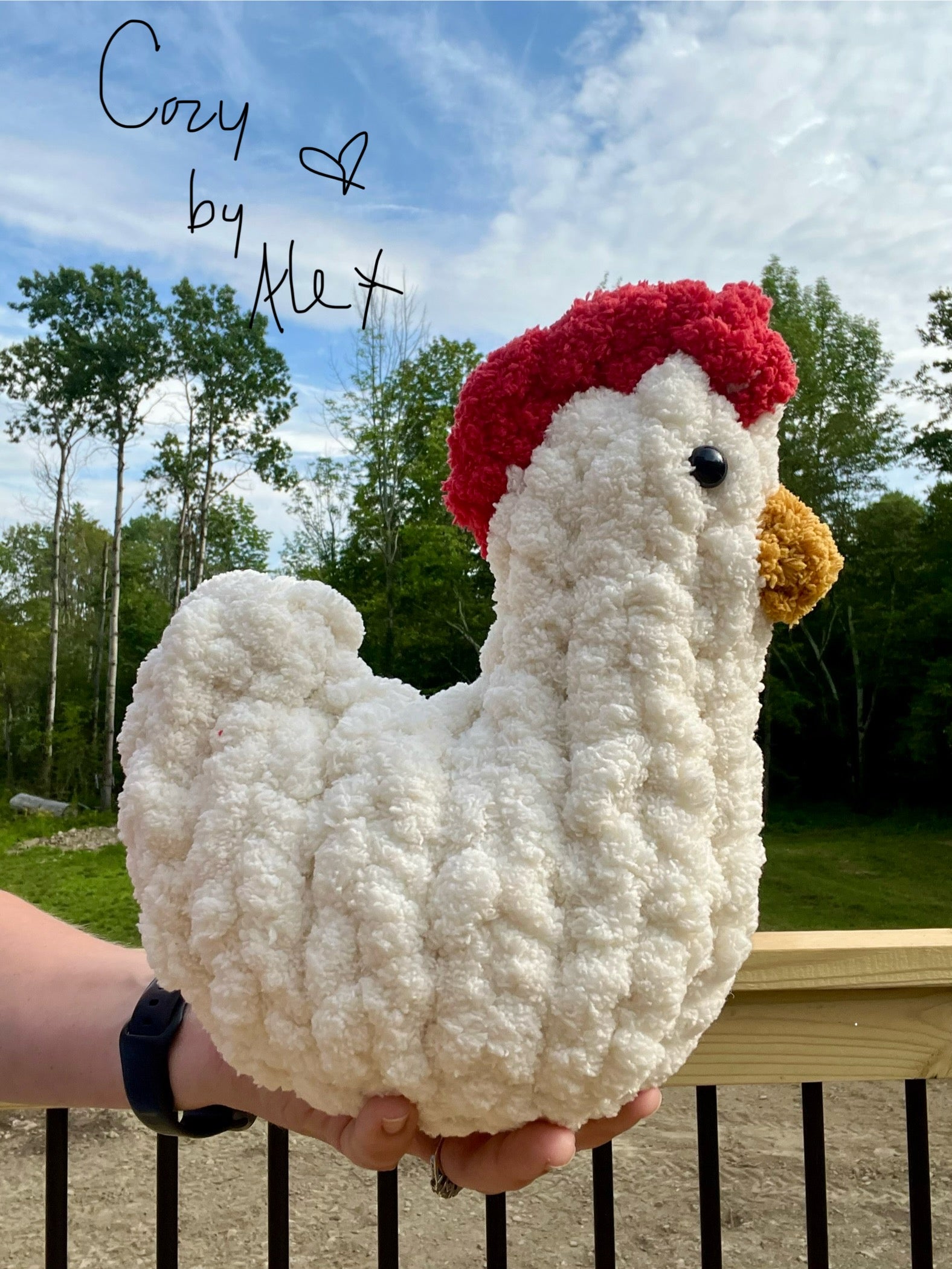 Cozy Chicken