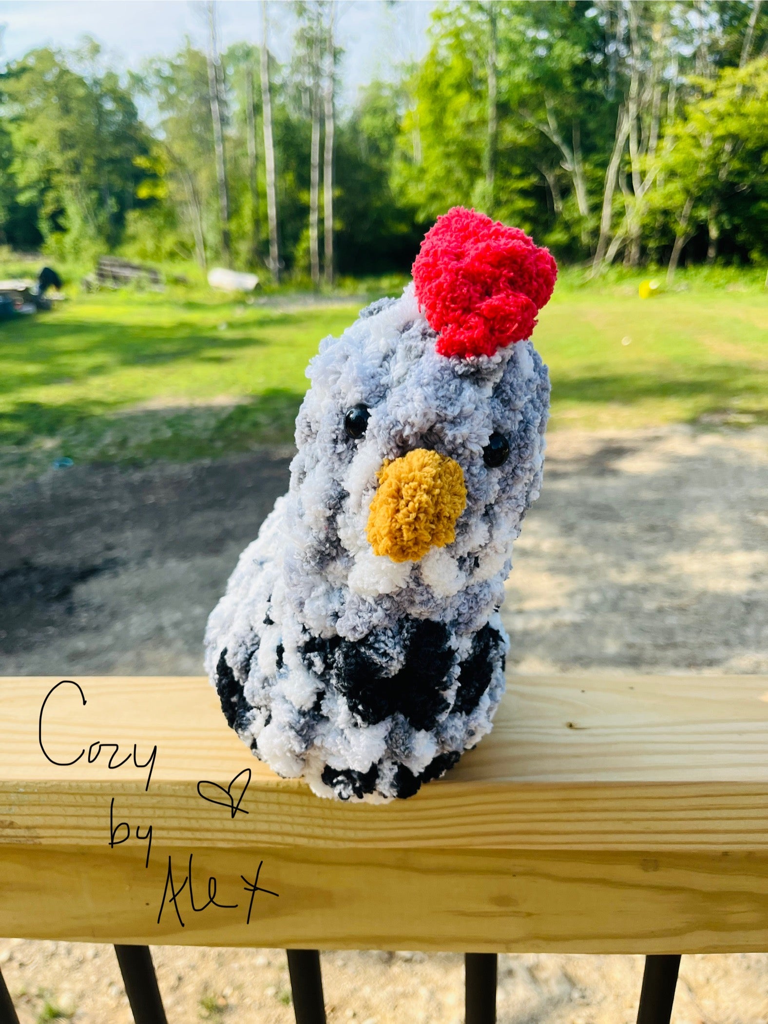 Cozy Chicken