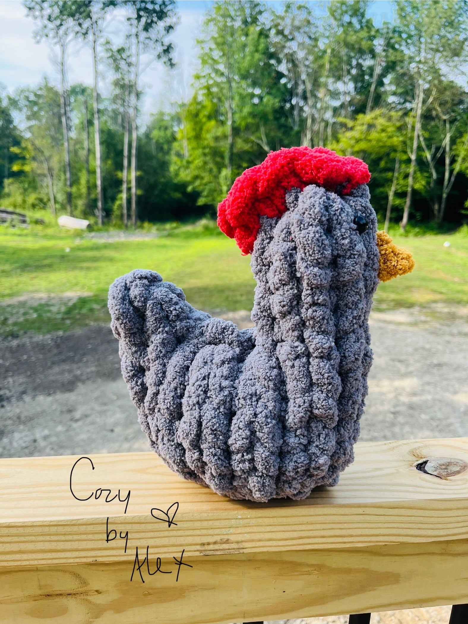 Cozy Chicken