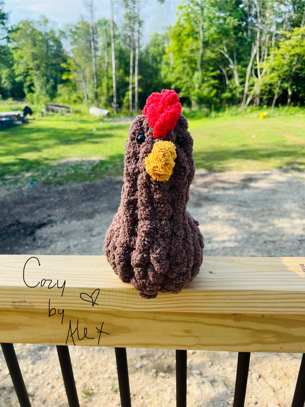 Cozy Chicken