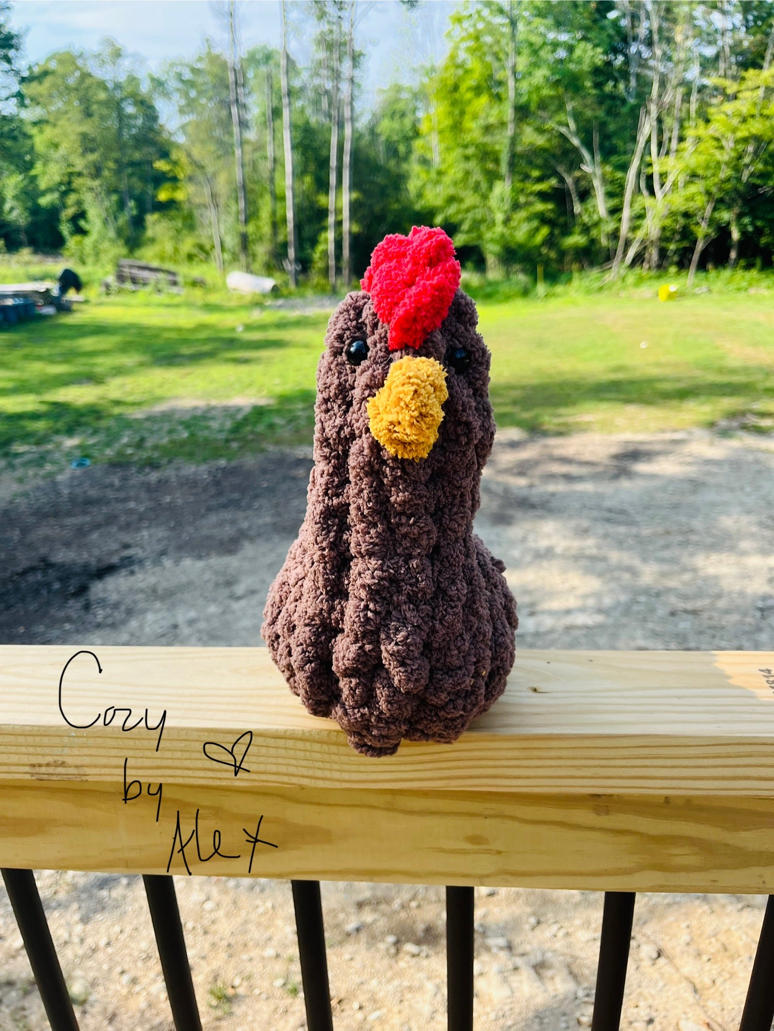 Cozy Chicken