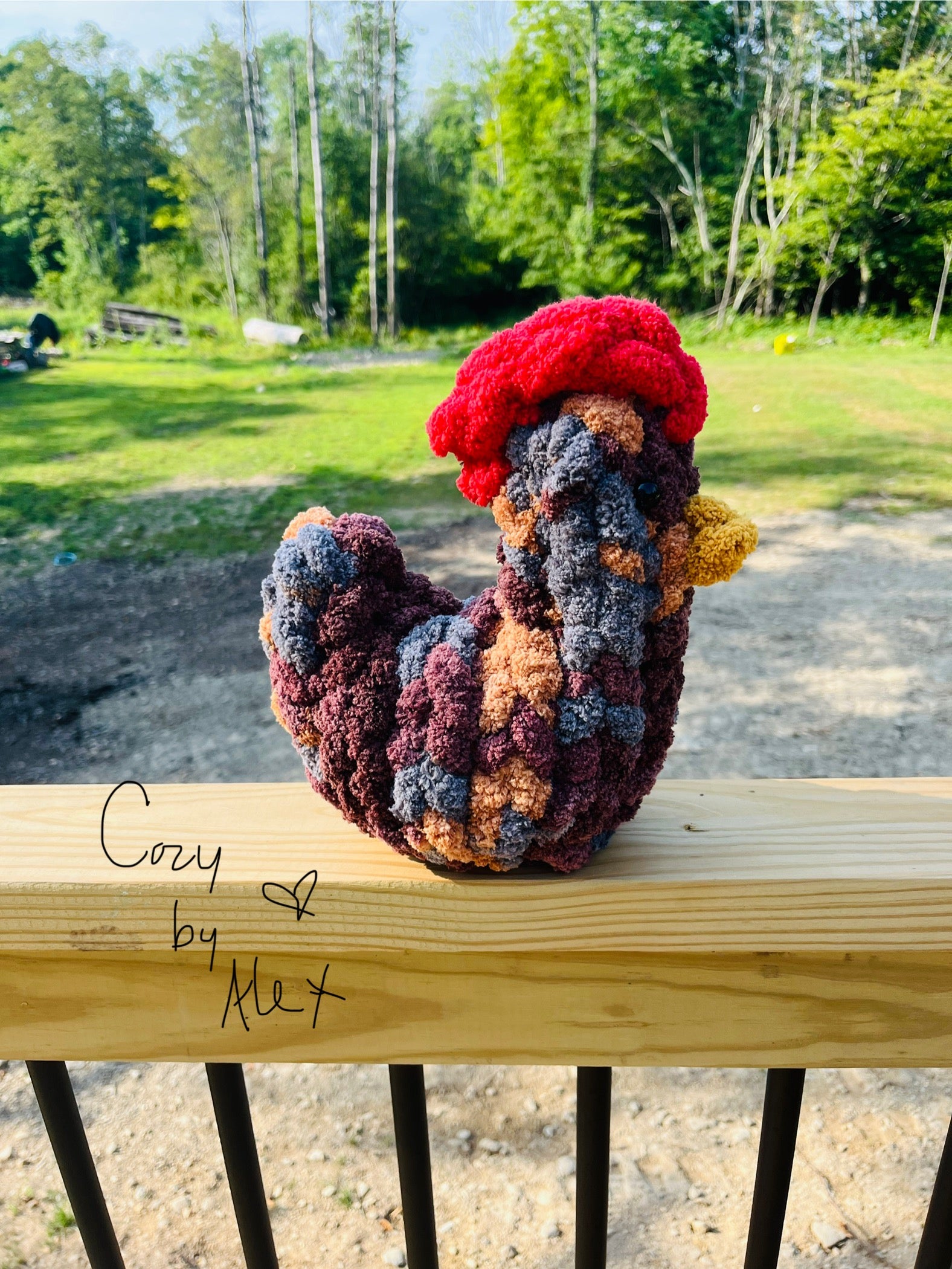 Cozy Chicken