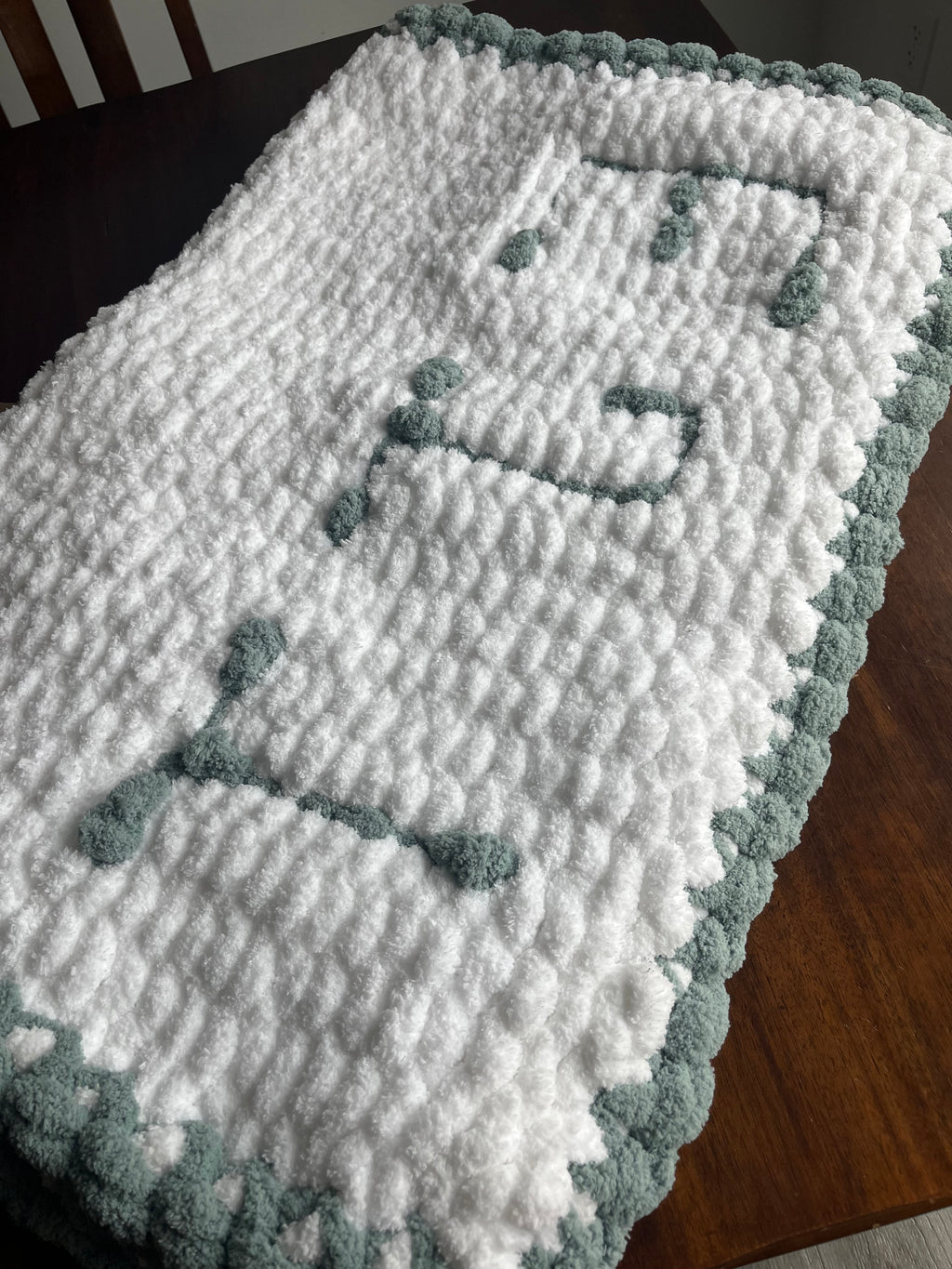 Custom Cozy Baby Blanket
