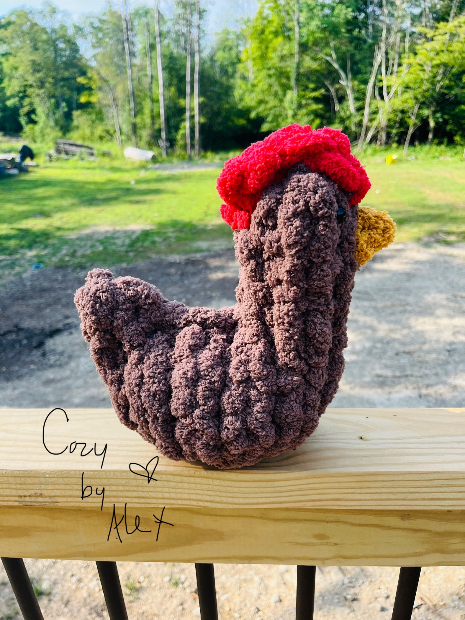 Cozy Chicken